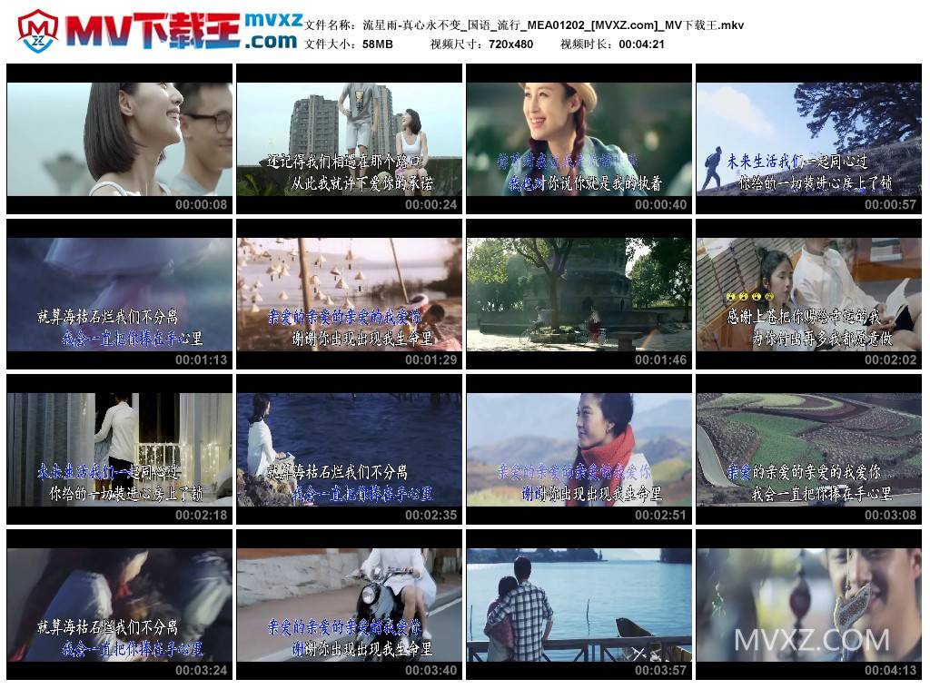 流星雨-真心永不变_国语_流行_MEA01202